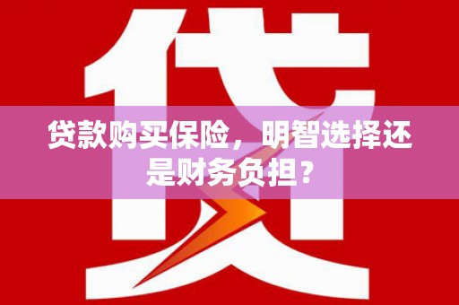 秦汉贷款购买保险，明智选择还是财务负担？