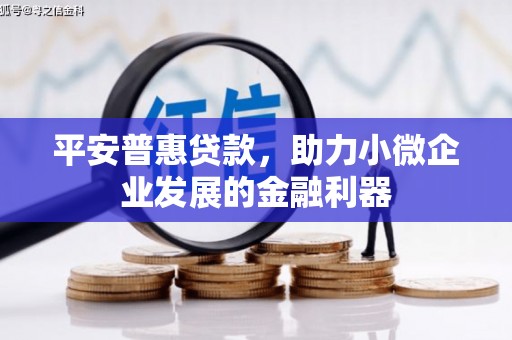秦汉平安普惠贷款，助力小微企业发展的金融利器