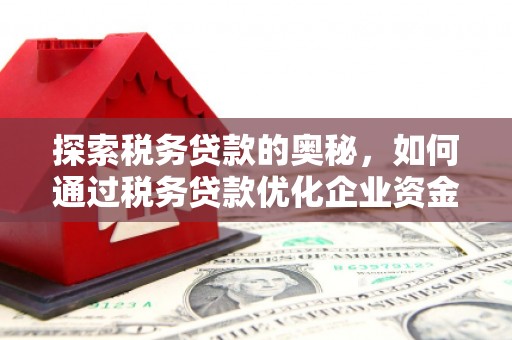 秦汉探索税务贷款的奥秘，如何通过税务贷款优化企业资金流