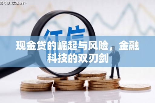 秦汉现金贷的崛起与风险，金融科技的双刃剑