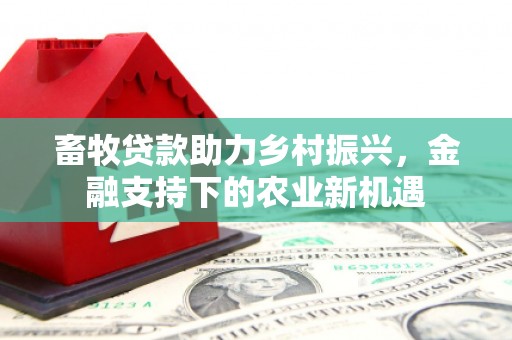 秦汉畜牧贷款助力乡村振兴，金融支持下的农业新机遇