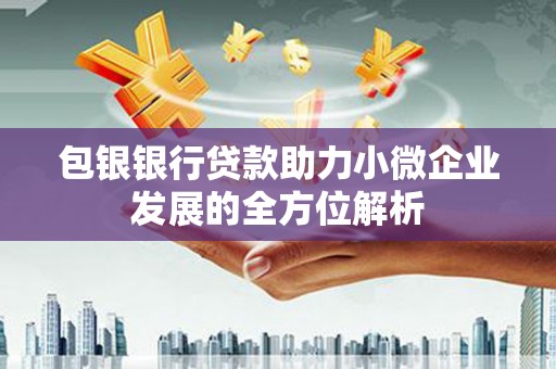 秦汉包银银行贷款助力小微企业发展的全方位解析