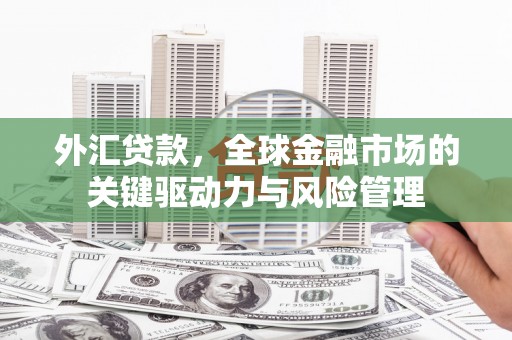 秦汉外汇贷款，全球金融市场的关键驱动力与风险管理