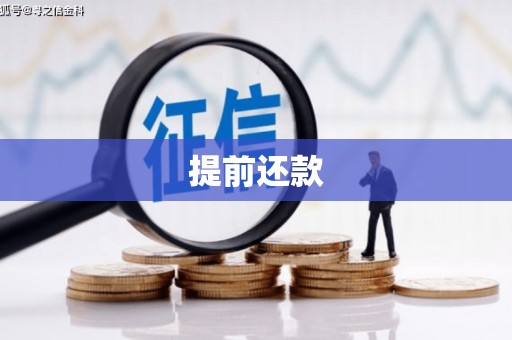 秦汉提前还款