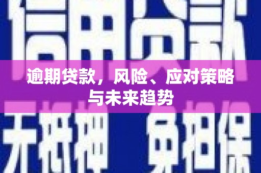 秦汉逾期贷款，风险、应对策略与未来趋势