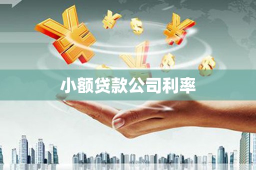 秦汉小额贷款公司利率