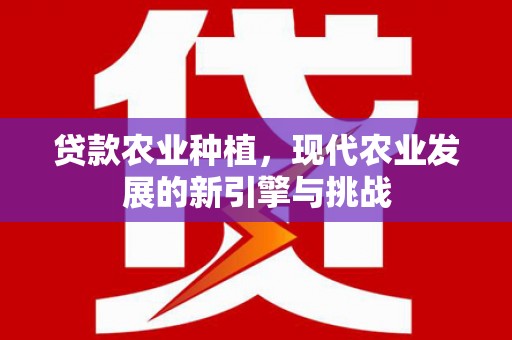 秦汉贷款农业种植，现代农业发展的新引擎与挑战