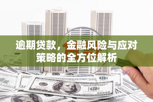 秦汉逾期贷款，金融风险与应对策略的全方位解析