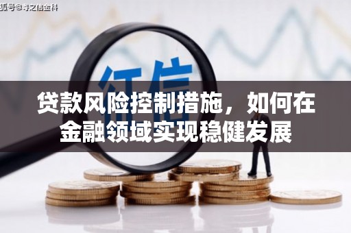 秦汉贷款风险控制措施，如何在金融领域实现稳健发展