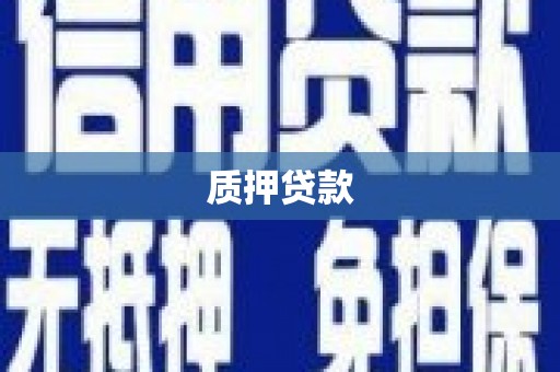 秦汉质押贷款