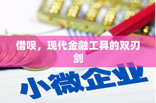 秦汉借呗，现代金融工具的双刃剑