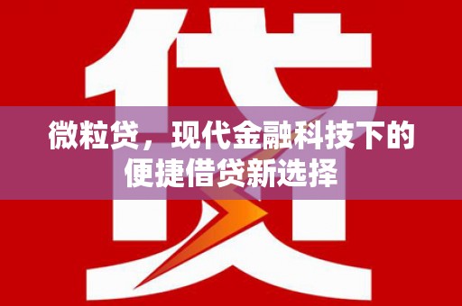 秦汉微粒贷，现代金融科技下的便捷借贷新选择
