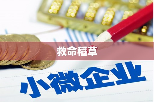 秦汉救命稻草