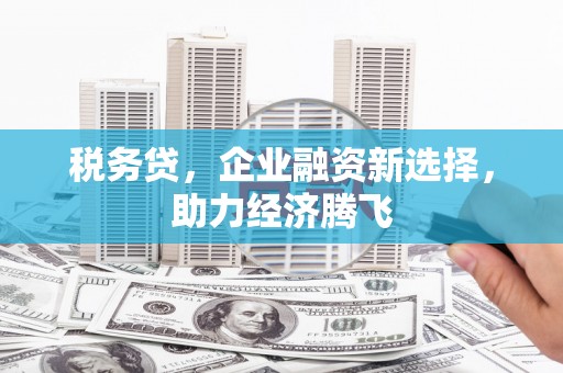秦汉税务贷，企业融资新选择，助力经济腾飞