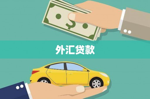 秦汉外汇贷款