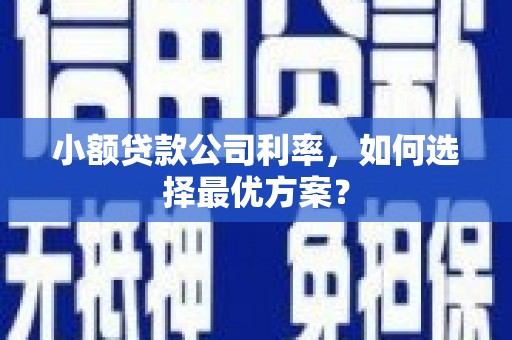 秦汉小额贷款公司利率，如何选择最优方案？