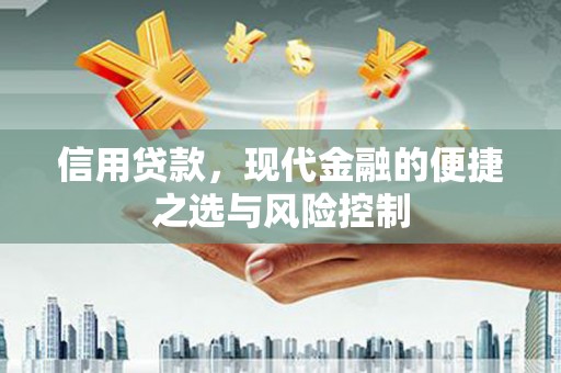 秦汉信用贷款，现代金融的便捷之选与风险控制