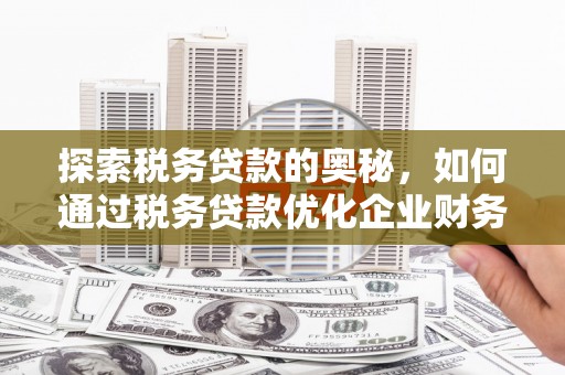 秦汉探索税务贷款的奥秘，如何通过税务贷款优化企业财务