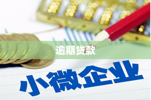 秦汉逾期贷款