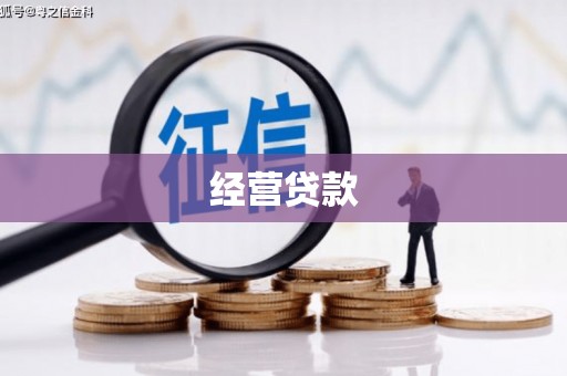 秦汉经营贷款
