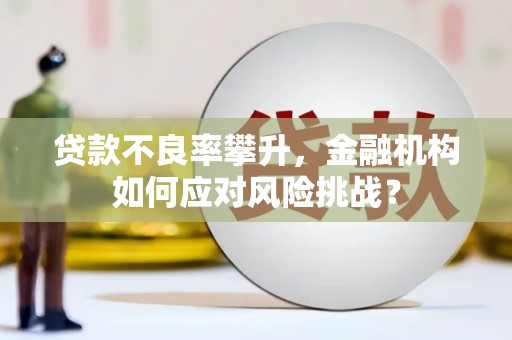 秦汉贷款不良率攀升，金融机构如何应对风险挑战？
