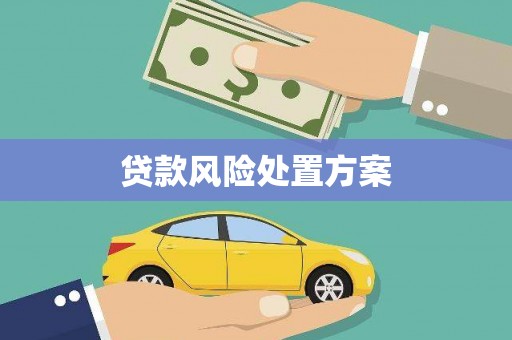 秦汉贷款风险处置方案