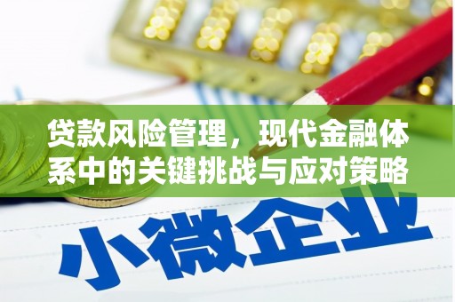 秦汉贷款风险管理，现代金融体系中的关键挑战与应对策略