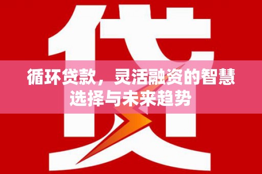 秦汉循环贷款，灵活融资的智慧选择与未来趋势