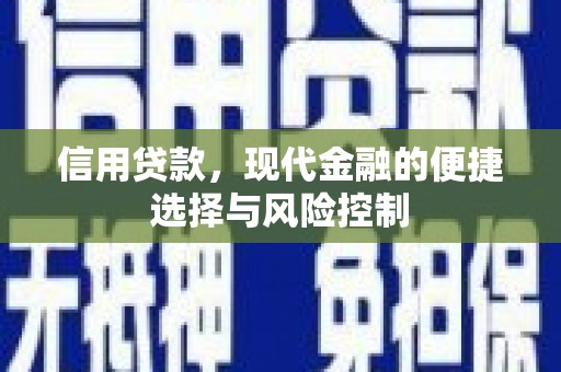 秦汉信用贷款，现代金融的便捷选择与风险控制
