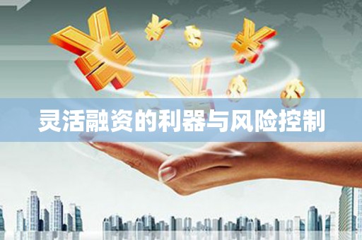 秦汉灵活融资的利器与风险控制