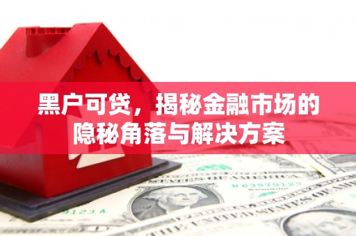 秦汉黑户可贷，揭秘金融市场的隐秘角落与解决方案