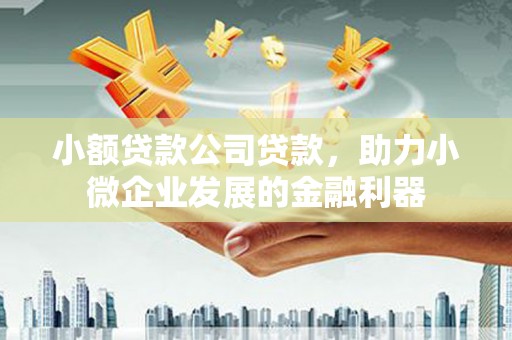 秦汉小额贷款公司贷款，助力小微企业发展的金融利器