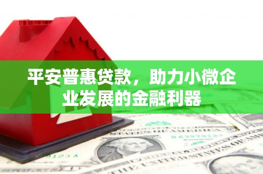 秦汉平安普惠贷款，助力小微企业发展的金融利器
