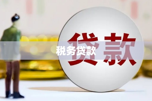 秦汉税务贷款