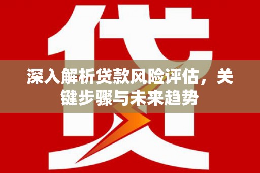 秦汉深入解析贷款风险评估，关键步骤与未来趋势