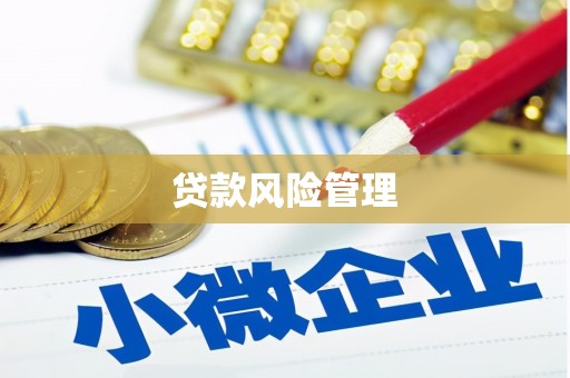 秦汉贷款风险管理