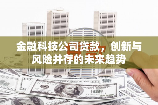 秦汉金融科技公司贷款，创新与风险并存的未来趋势
