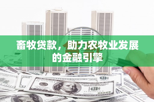 秦汉畜牧贷款，助力农牧业发展的金融引擎