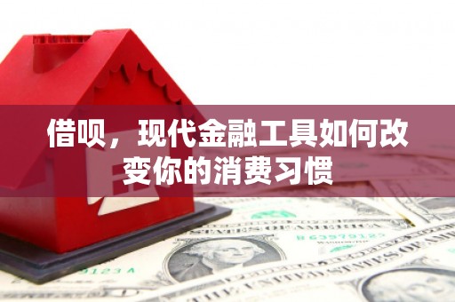 秦汉借呗，现代金融工具如何改变你的消费习惯