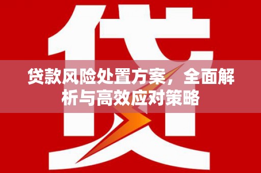 秦汉贷款风险处置方案，全面解析与高效应对策略
