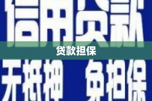秦汉贷款担保