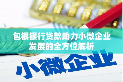 秦汉包银银行贷款助力小微企业发展的全方位解析