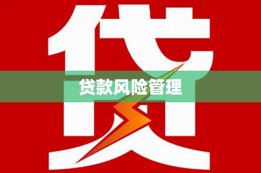 秦汉贷款风险管理