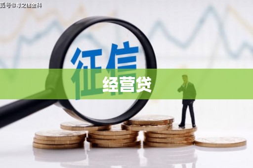 秦汉经营贷