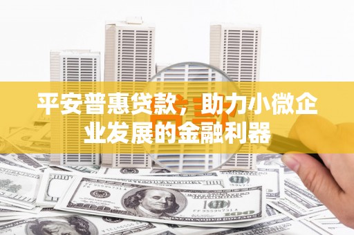 秦汉平安普惠贷款，助力小微企业发展的金融利器