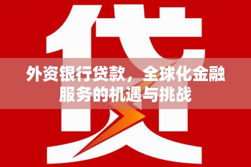 秦汉外资银行贷款，全球化金融服务的机遇与挑战