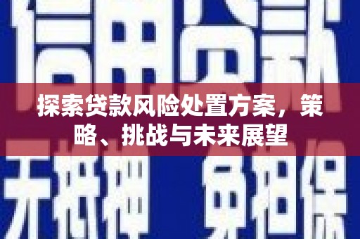 秦汉探索贷款风险处置方案，策略、挑战与未来展望