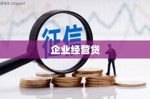 秦汉企业经营贷
