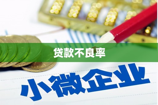 秦汉贷款不良率