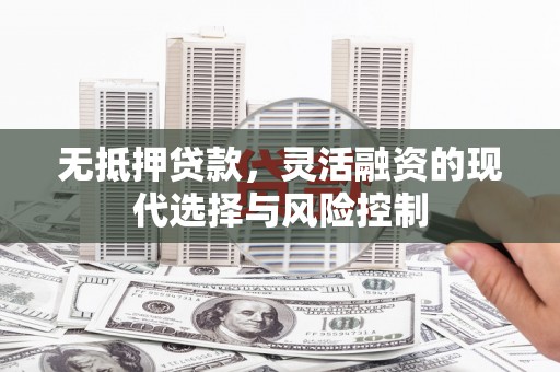 秦汉无抵押贷款，灵活融资的现代选择与风险控制
